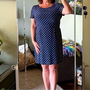 Classic silk Broadway & Broome navy polka dot dress, size 12